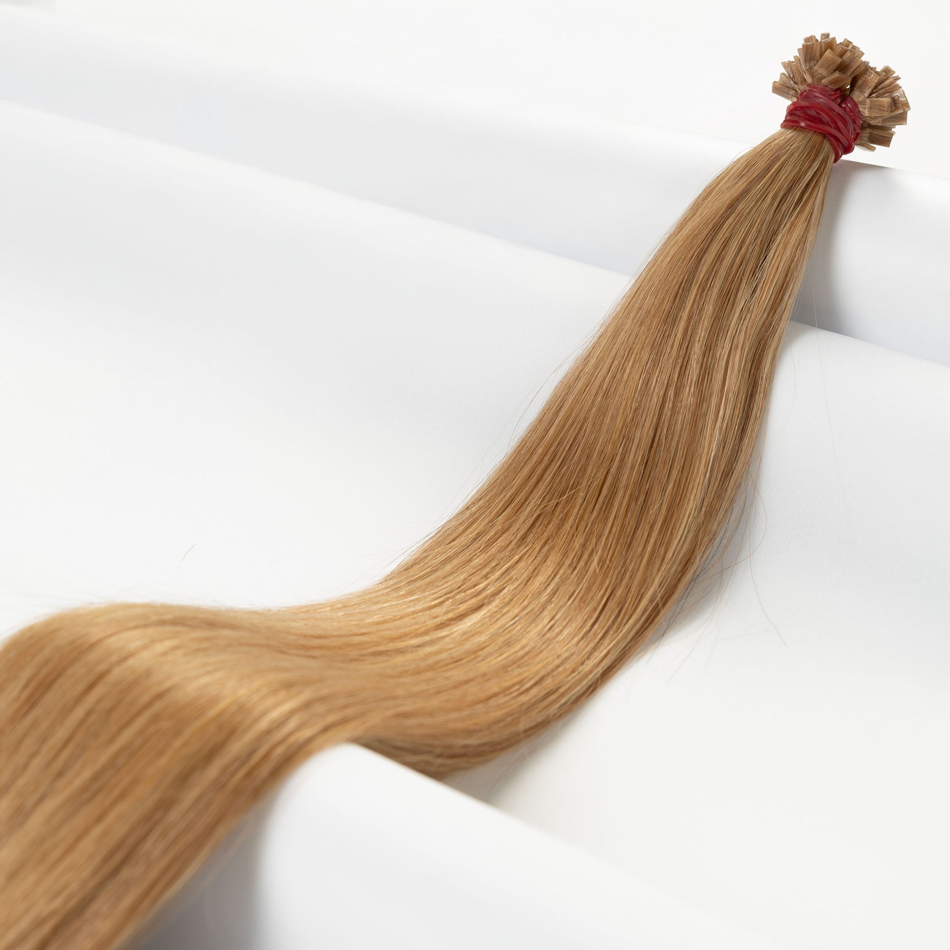 Caramel Blonde