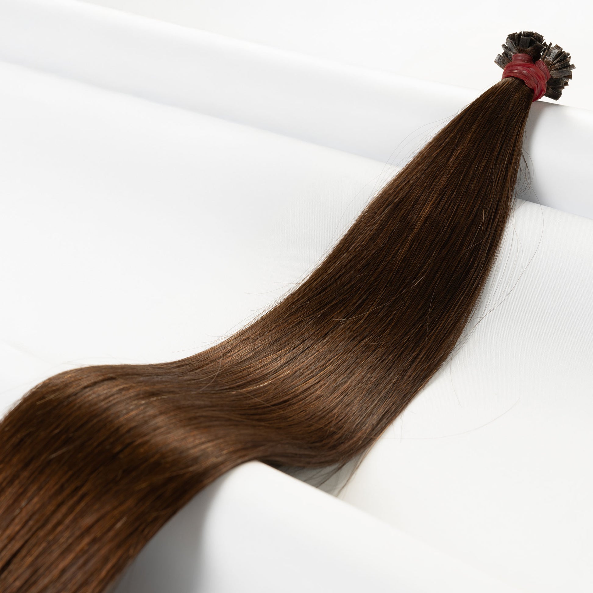 Dark Chocolate Brown