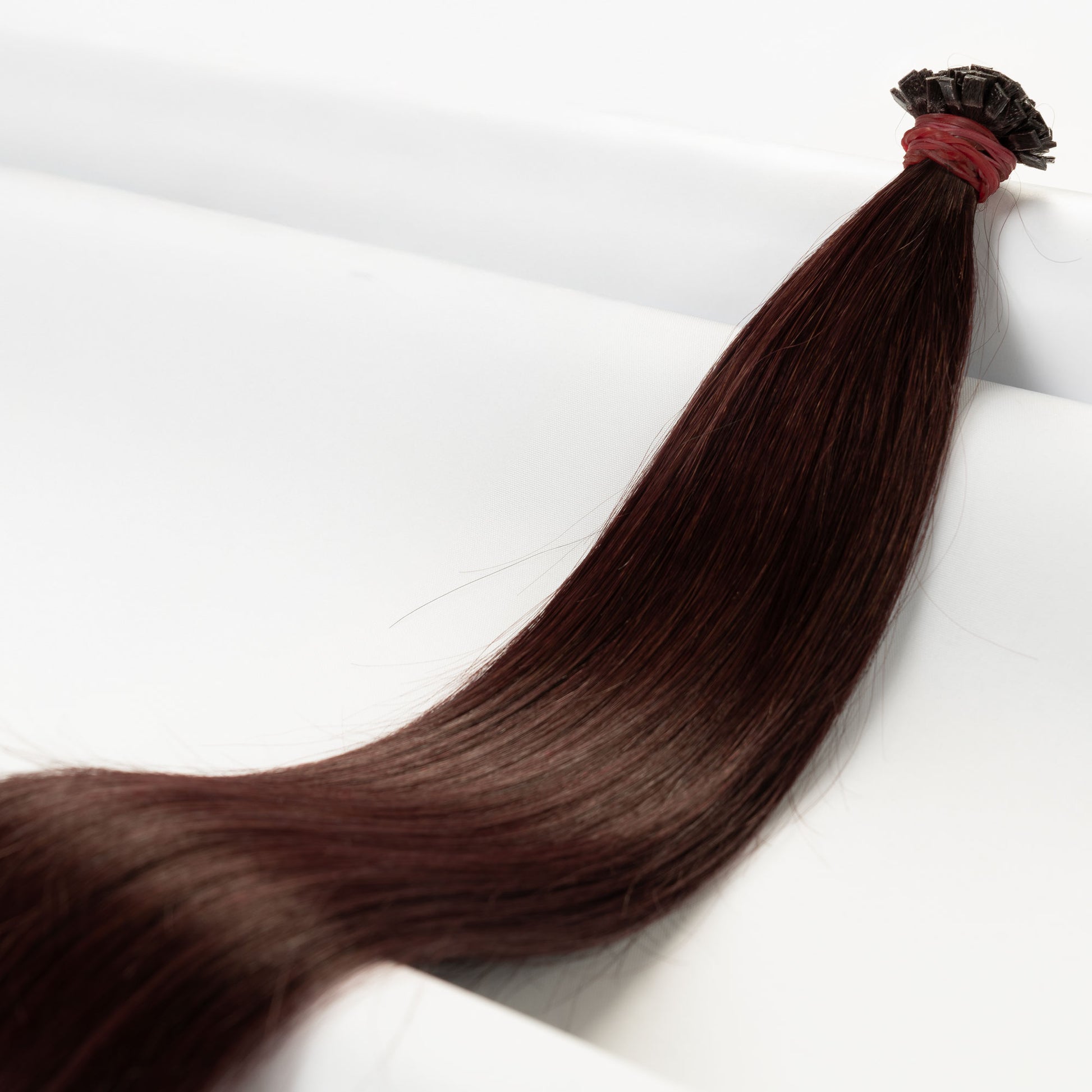 Velvet Brown