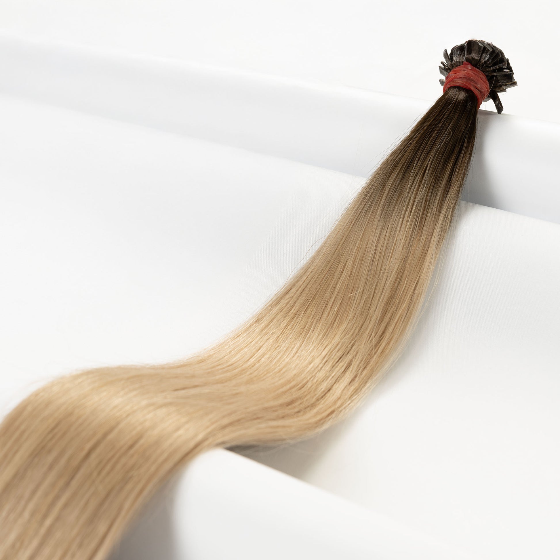 Hazelnut Shine Ombré