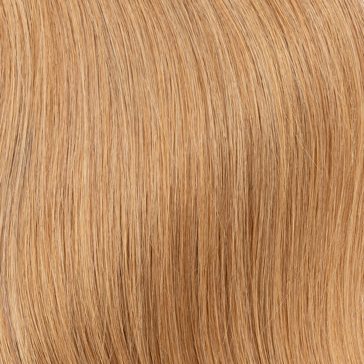 Honey Blonde