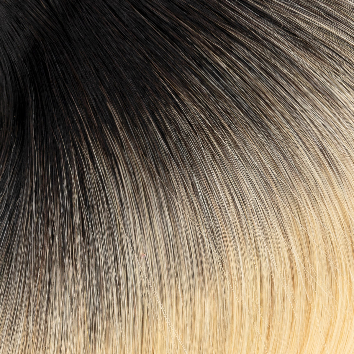 Black to Ash Blonde Ombré