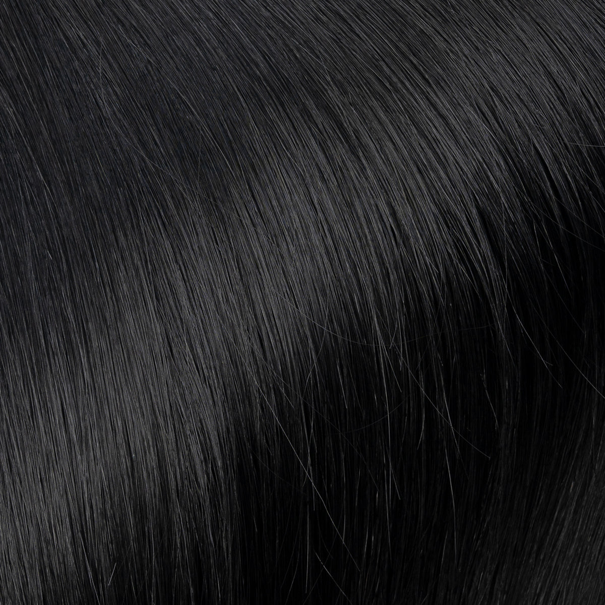Midnight Black