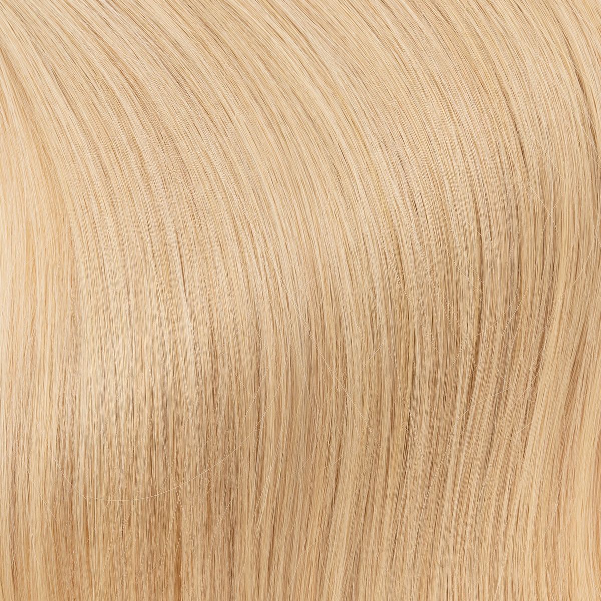 Rosé Blonde