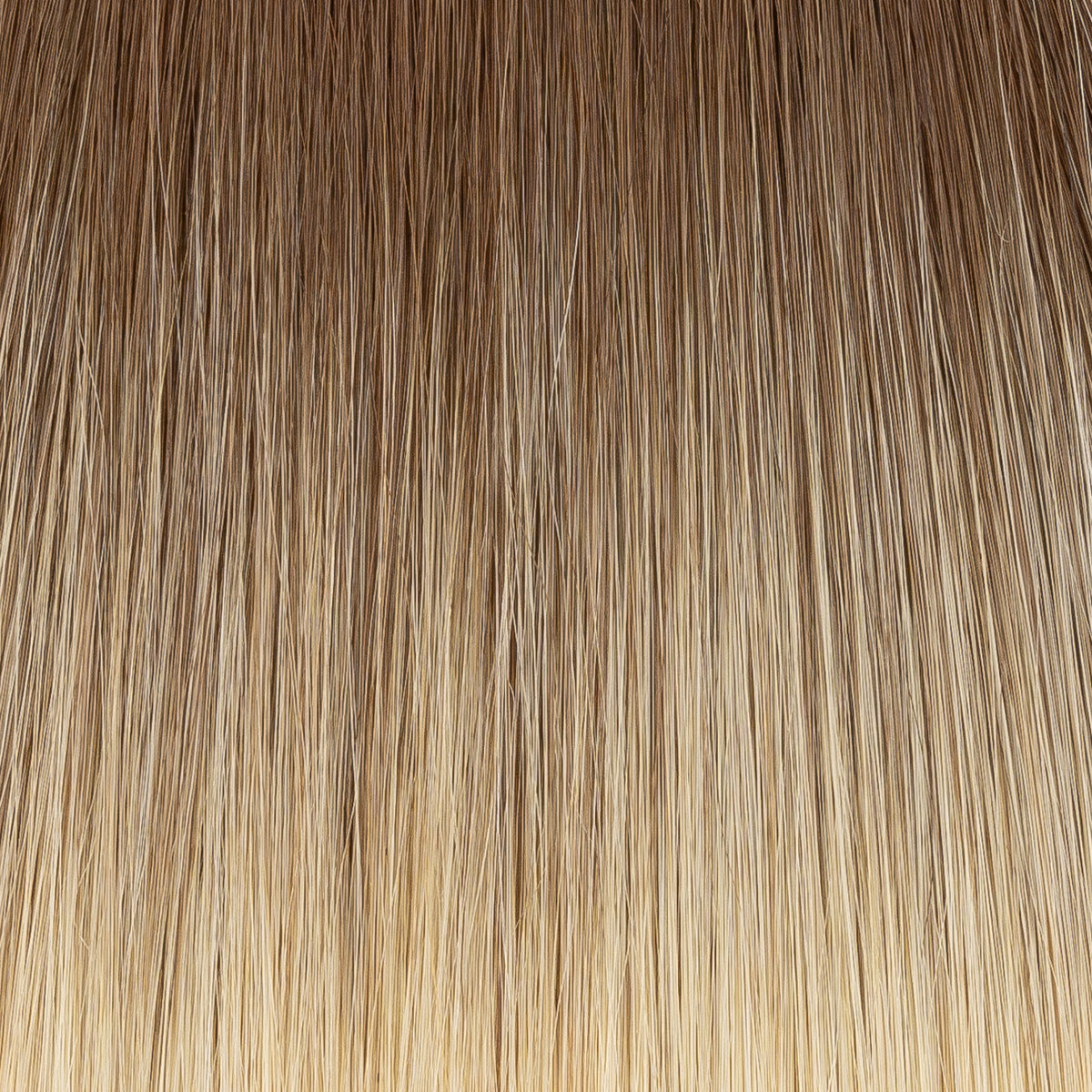 Brown to Ash Blonde Ombré