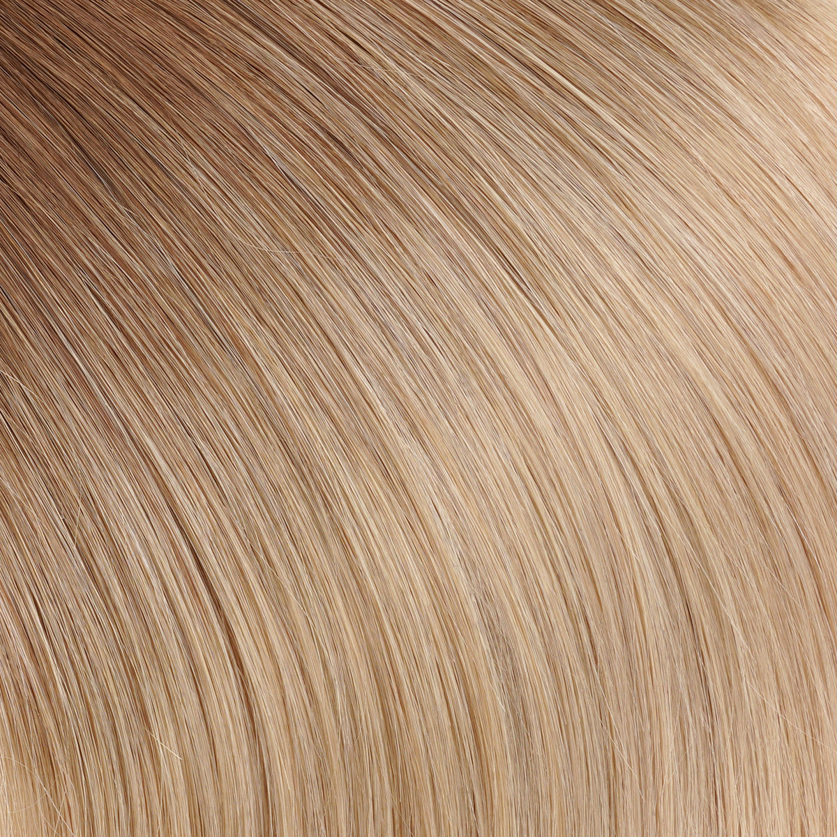 Beige Blonde Ombré