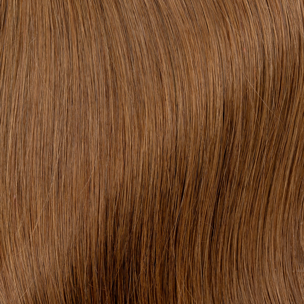 Hazelnut Warm Brown