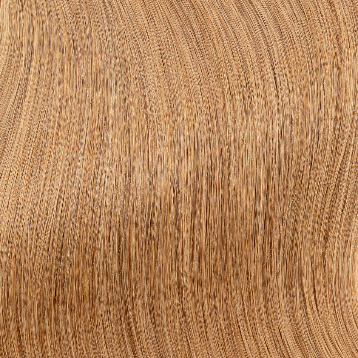 Champagne Blonde
