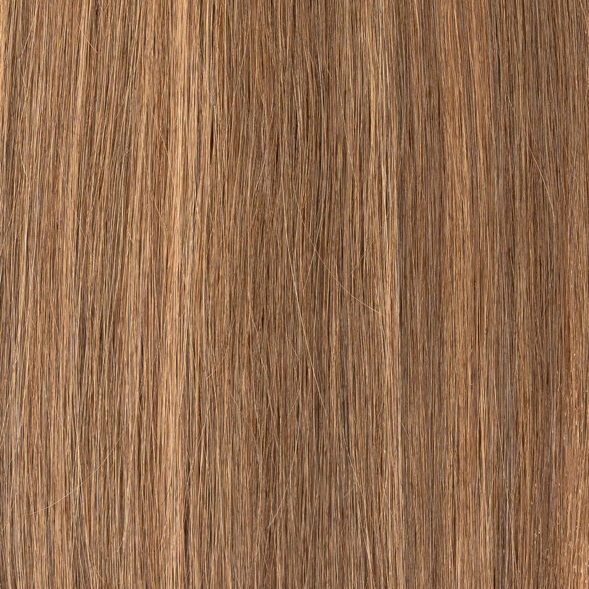 Sunlit Mocha