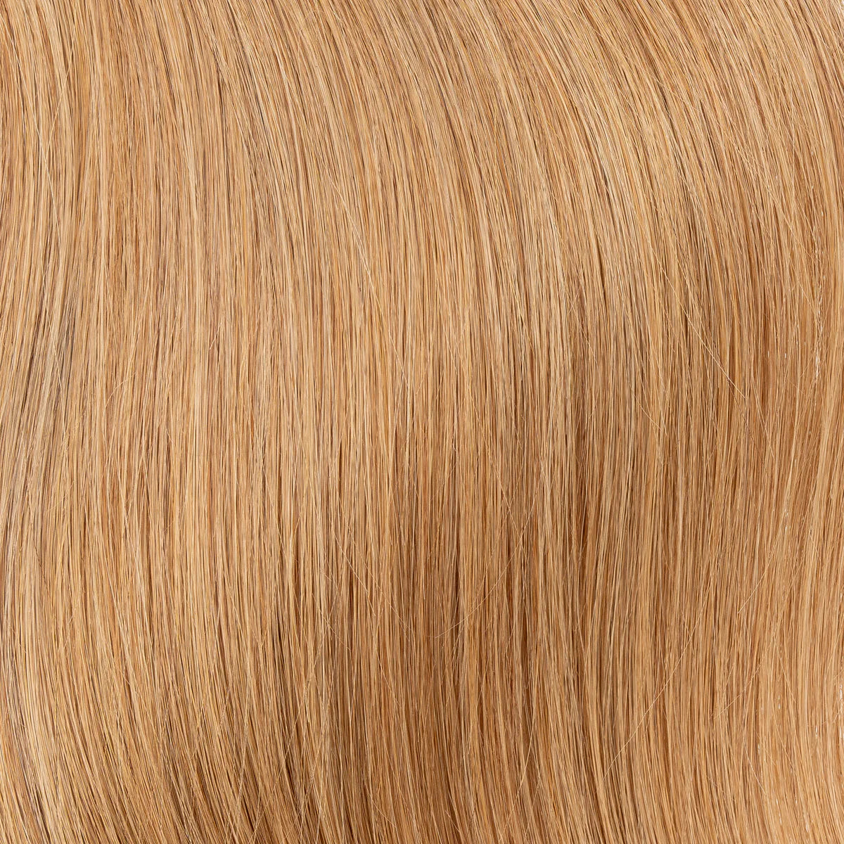 Tape In Extensions Echthaar 65 cm – Unsichtbar & federleicht | ROIDS