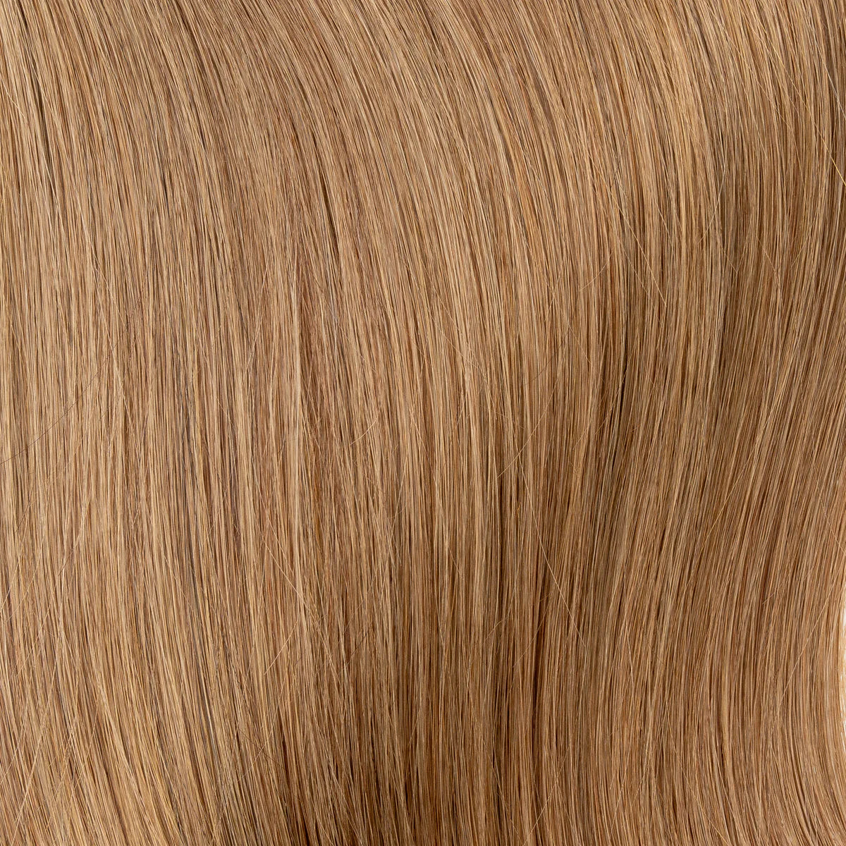 Tape In Extensions Echthaar 65 cm – Unsichtbar & federleicht | ROIDS